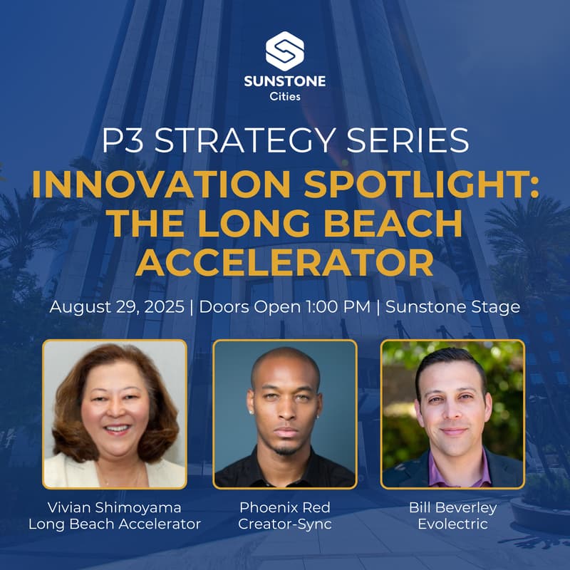 Cover Image for P3 Strategy Series