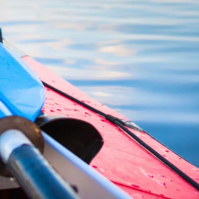 Cover Image for Canoeing & Kayaking 🛶 at Rockwood Conservation Area
