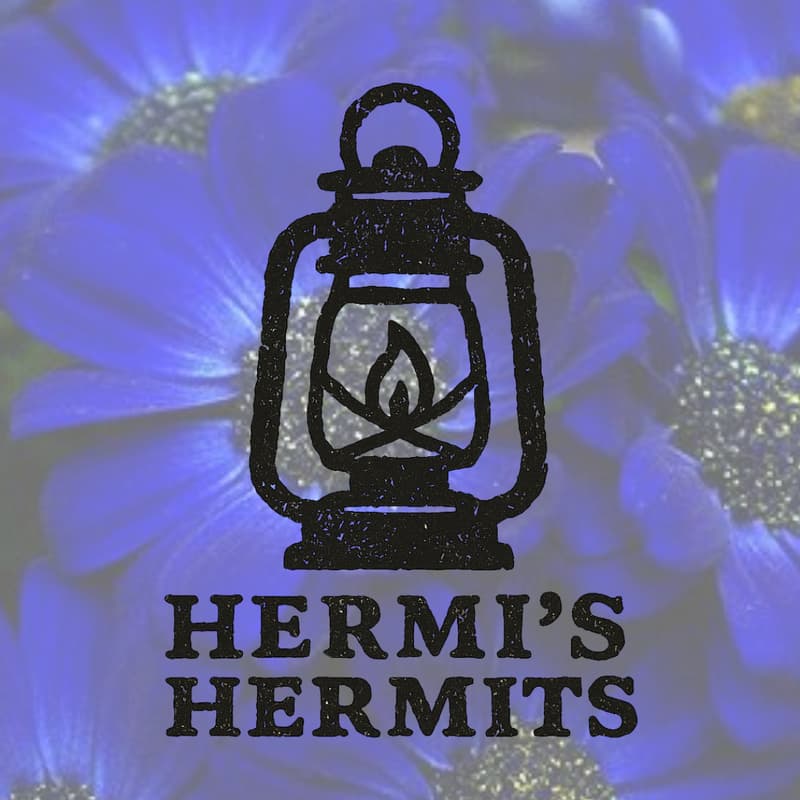 Cover Image for HERMI'S HERMITS (NOT SO) SECRET PHILANTHROPY SOCIETY