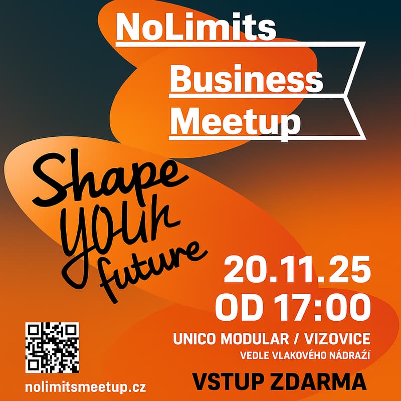 Cover Image for NoLimits Business Meetup