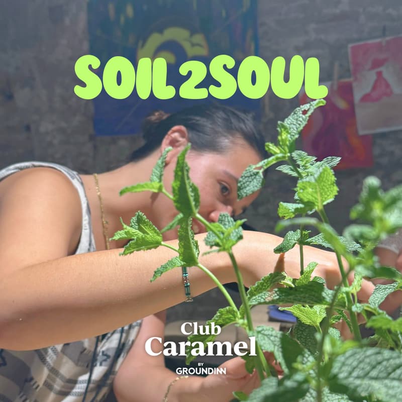 Cover Image for Soil2Soul- Household Essentials, Natures Way!