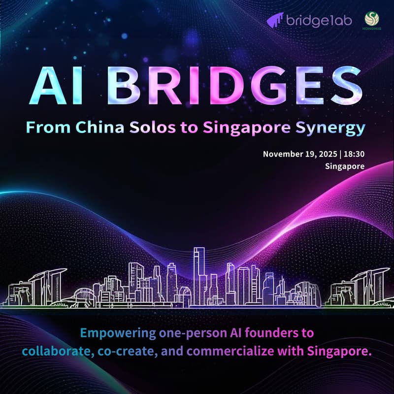 Cover Image for AI BRIDGES - From China Solos to Singapore Synergy