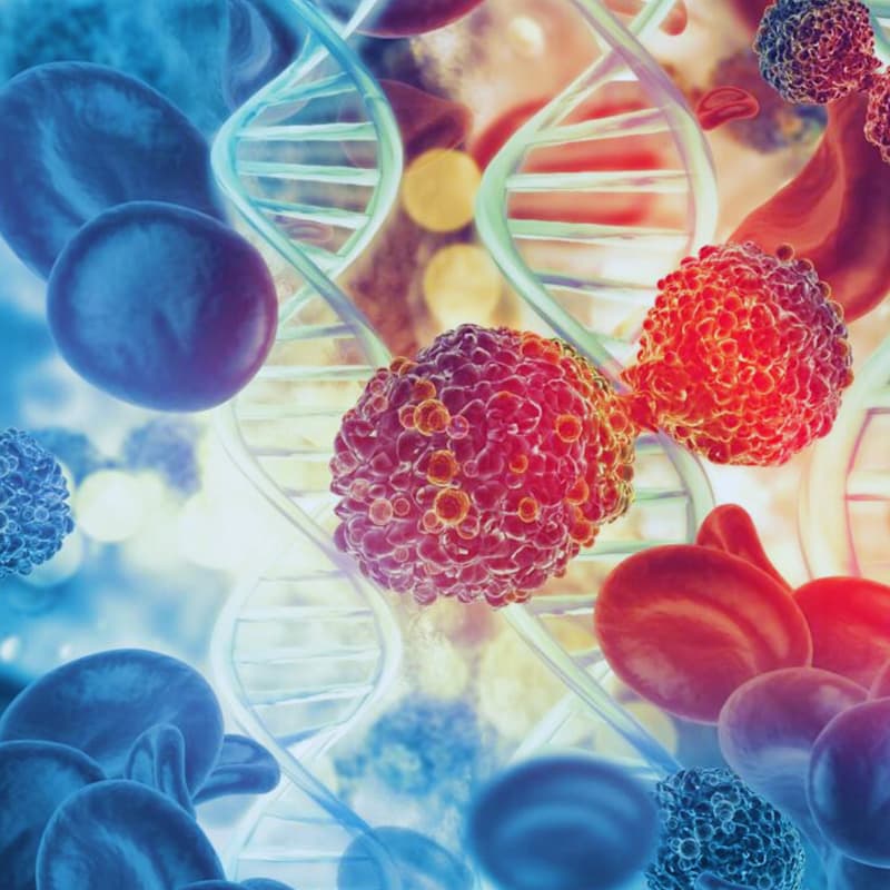 Cover Image for The CAR-T Corridor – From Discovery to Commercialization