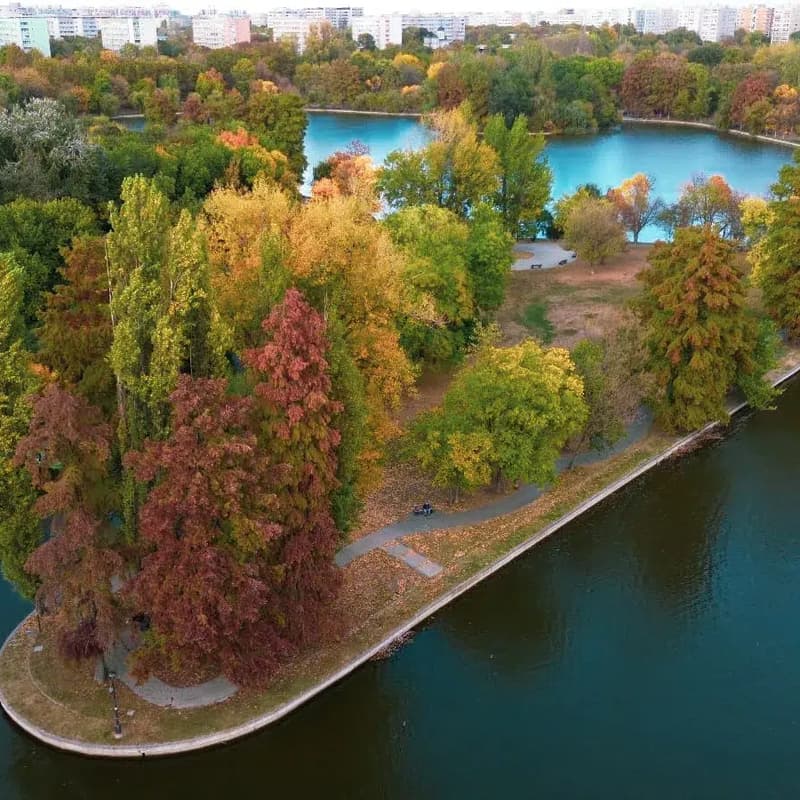 Cover Image for Tura de duminică București, 1 martie: IOR