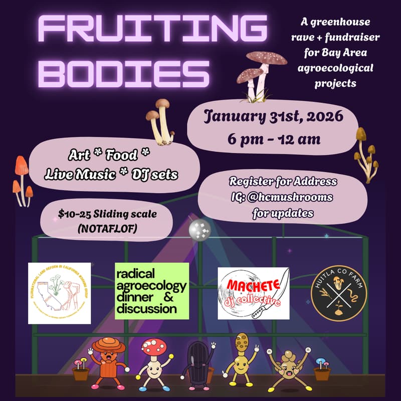 Cover Image for Fruiting Bodies