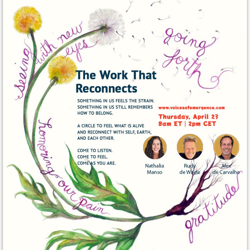 Cover Image for Liminal Soil: A Circle for Connection, Resilience, and Belonging