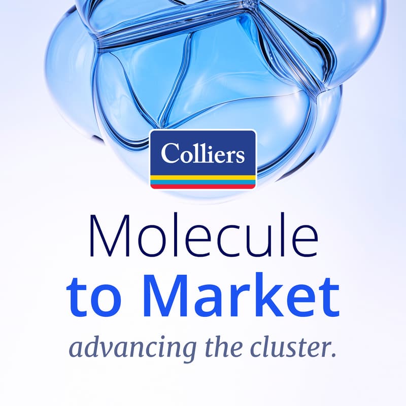 Cover Image for Molecule to Market