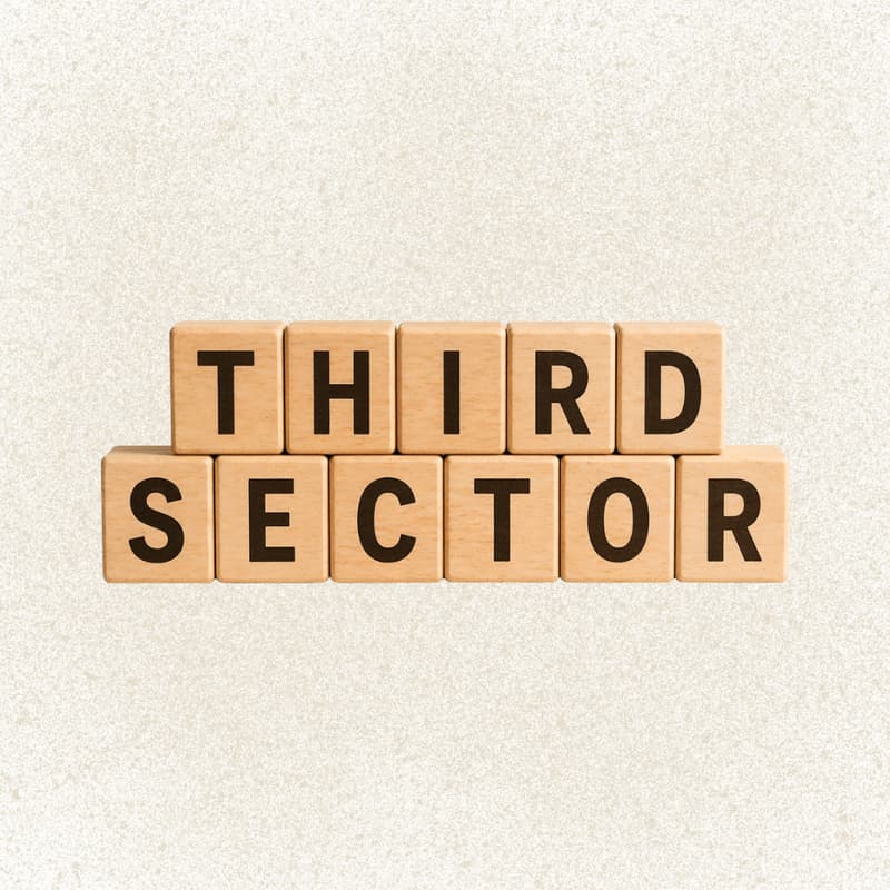 Cover Image for How to Position Yourself for Jobs in the Third Sector