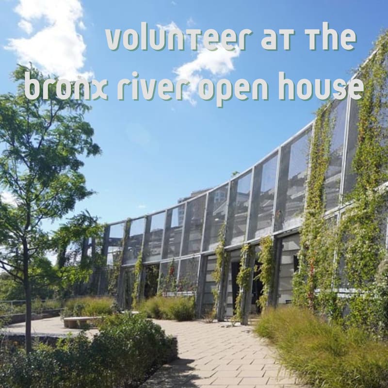 Cover Image for Volunteer at the Bronx River Open House with the Bronx River Alliance