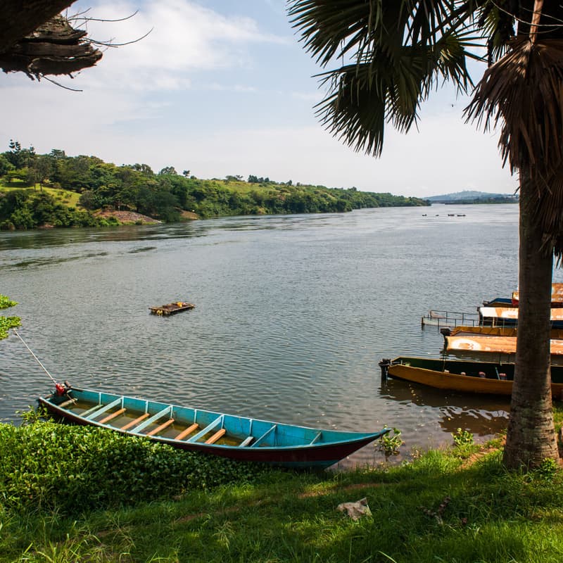 Cover Image for Kongo Konnect