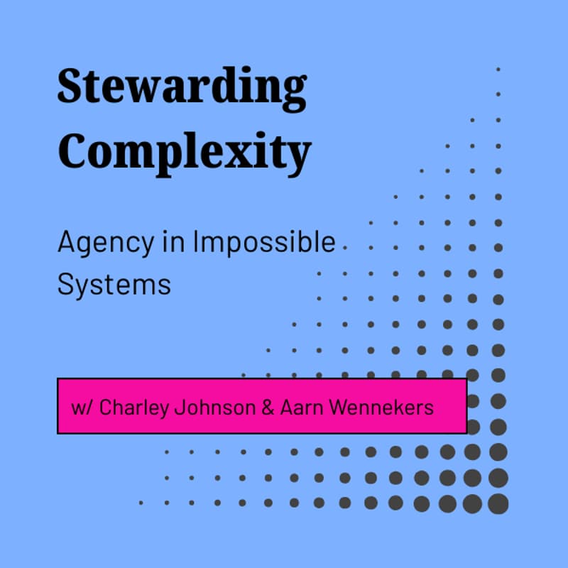 Cover Image for Stewarding Complexity: Agency in Impossible Systems