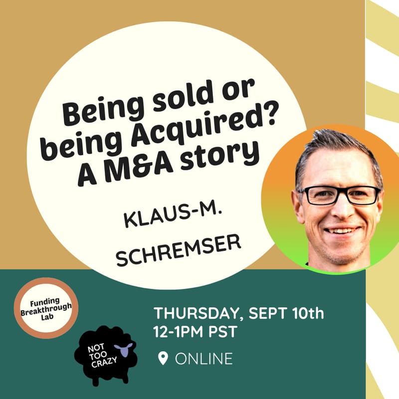 Cover Image for Being Sold or Being Acquired? A M&A Story