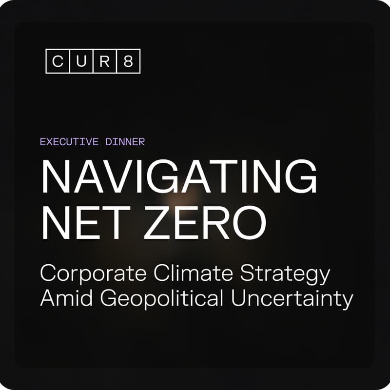 Cover Image for Navigating Net Zero: Corporate Climate Strategy Amid Geopolitical Uncertainty