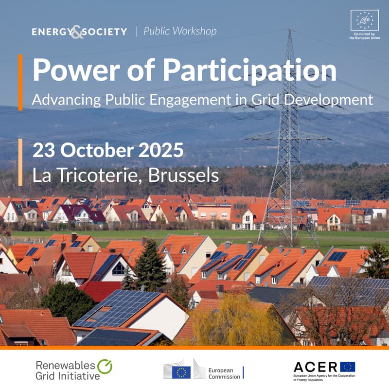 Cover Image for Power of Participation: Advancing Public Engagement in Grid Development