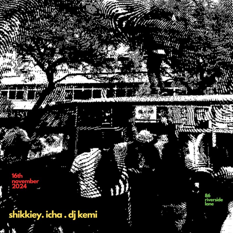 Cover Image for A Pool Party