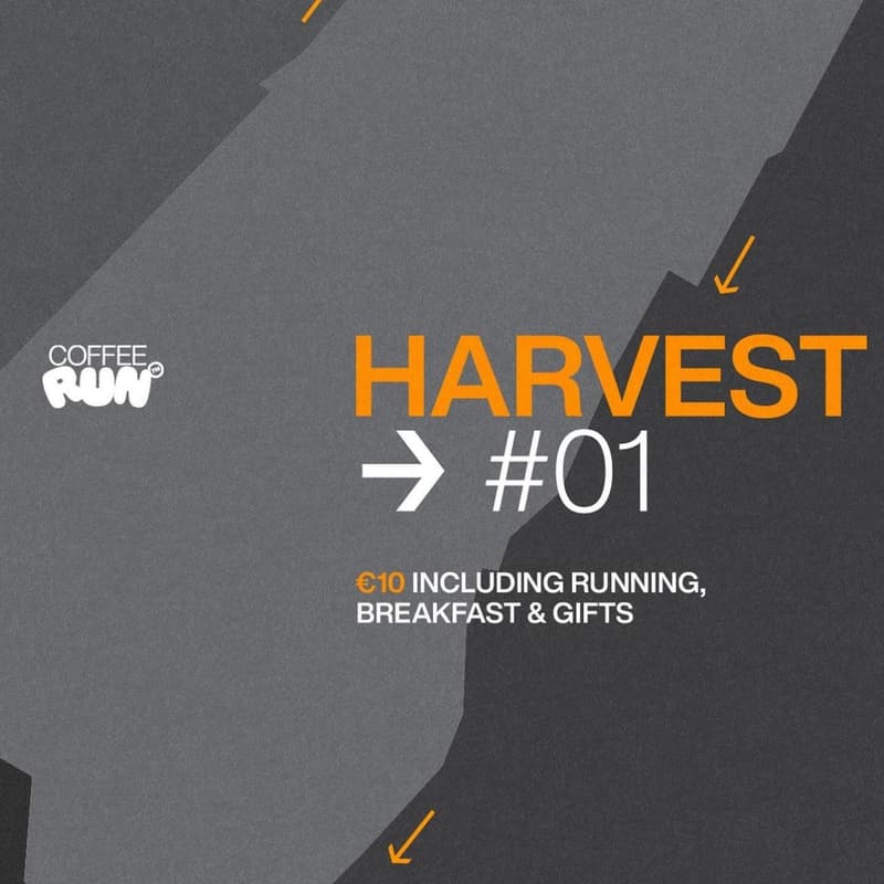 Cover Image for Coffee Run | Harvest #01 • Curv x CoffeeXP