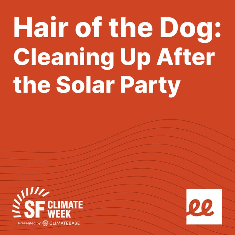 Cover Image for Hair of the Dog: Cleaning Up After the Solar Party