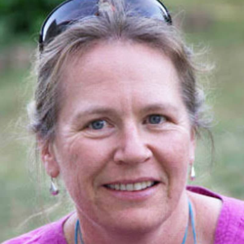 Cover Image for MonkeySide Chat - Dr. Wendy Broadgate (Global Hub Director, Future Earth) with Prof. Gail Whiteman & Joep van Lieshout