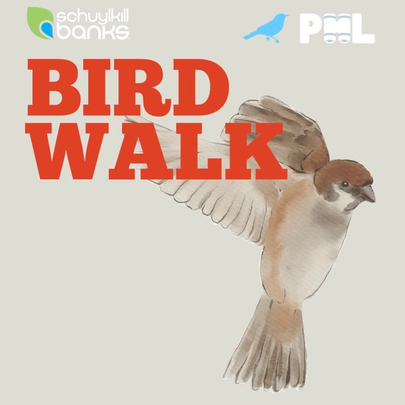 Cover Image for Fall Bird Walk on the Schuylkill River Trail