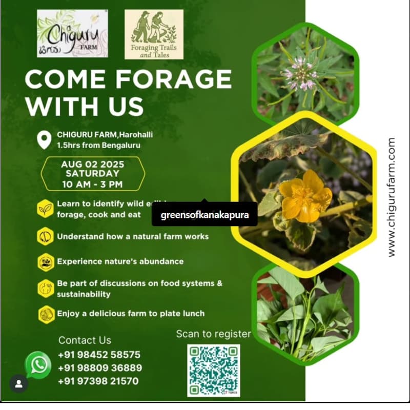 Cover Image for Come Forage with Us