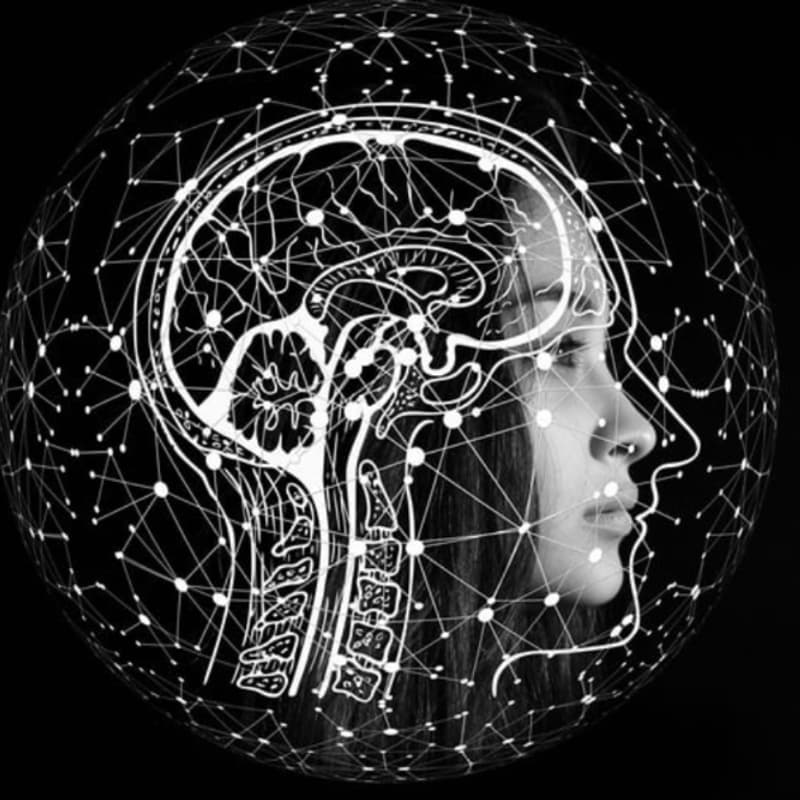 Cover Image for The Vagus Nerve: Your Built-In Stress Recovery System