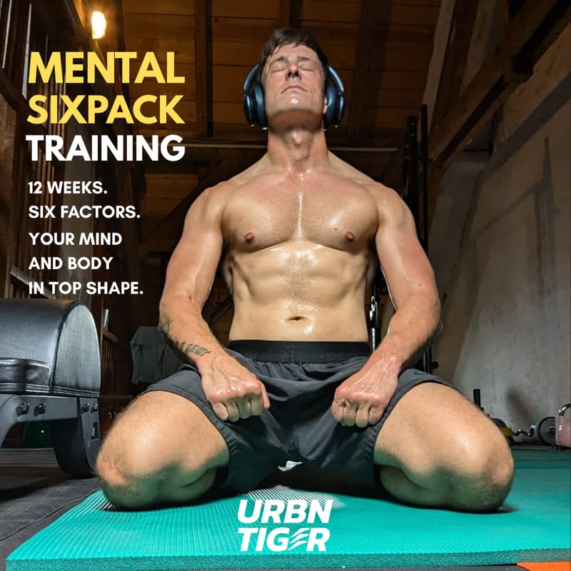 Cover Image for Mental Sixpack Info Call