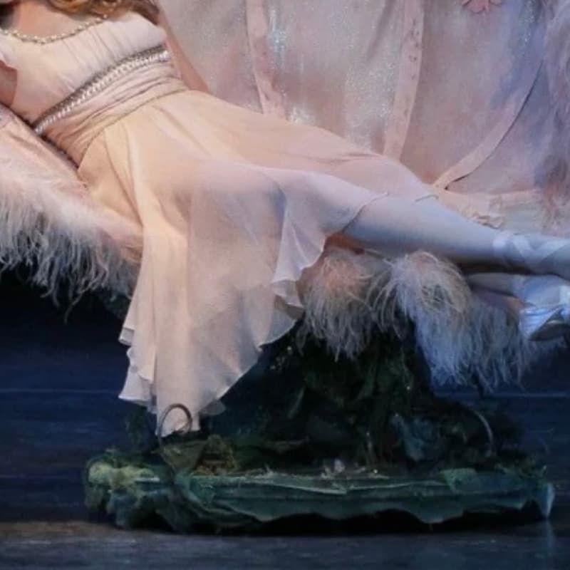 Cover Image for Adult Ballet Workshop- April Showers