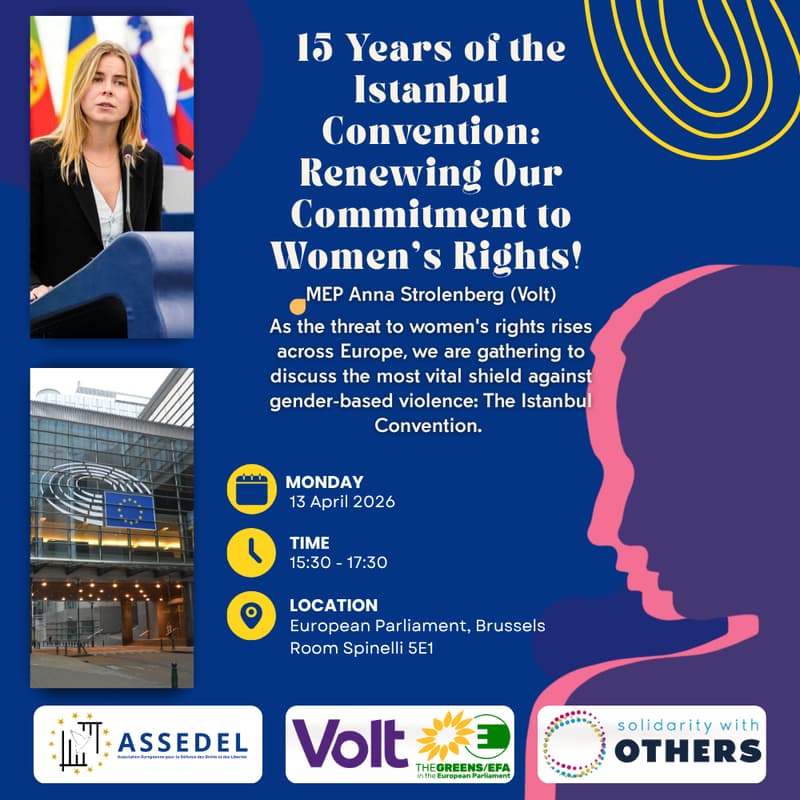Cover Image for 15 Years of the Istanbul Convention: Renewing Our Commitment to Women’s Rights