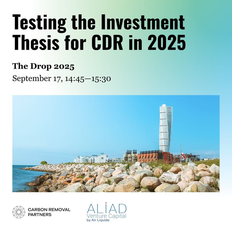Cover Image for Testing the Investment Thesis for CDR in 2025