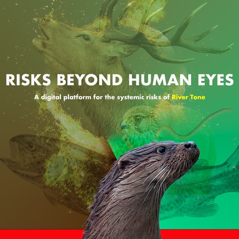 Cover Image for River Tone Risks Beyond Human Eyes: Building Animal Risk Worlds