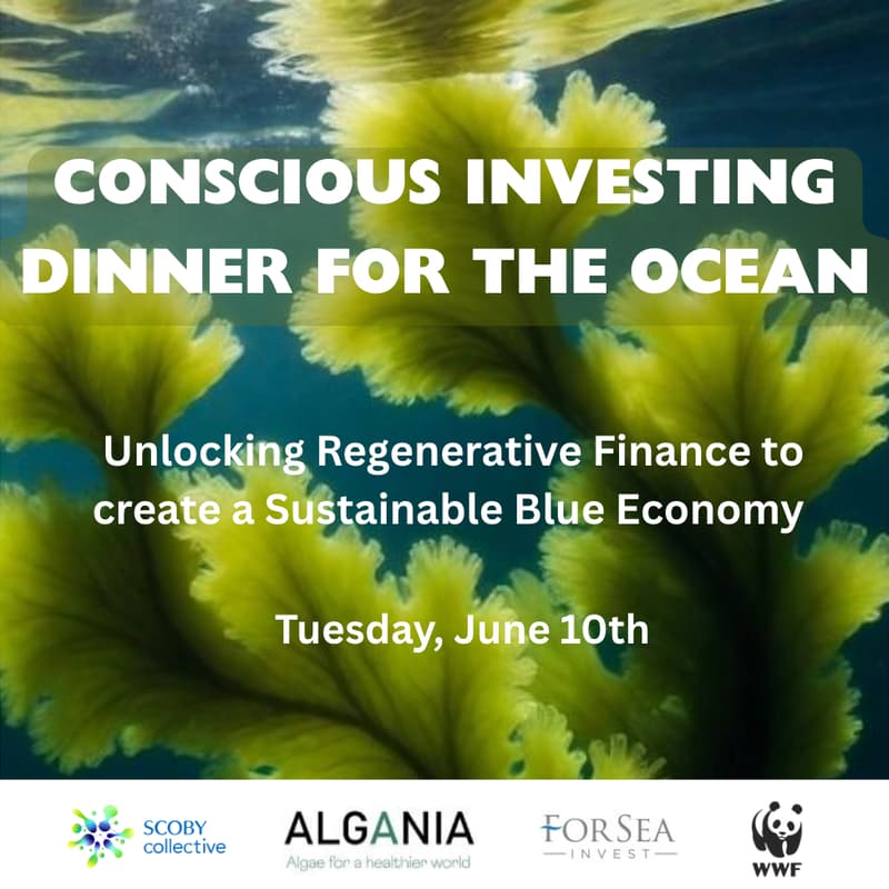 Cover Image for CONSCIOUS INVESTING FOR THE OCEAN - DINNER