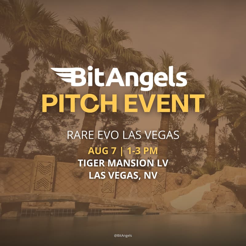 Cover Image for BitAngels Pitch - Rare Evo