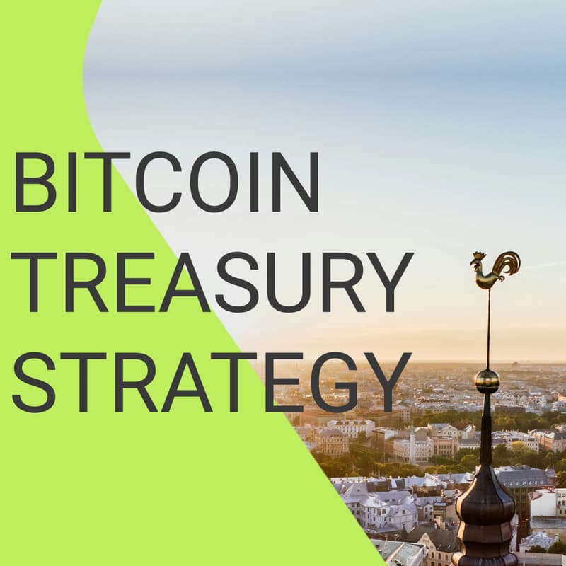 Cover Image for BITCOIN TREASURY STRATEGY