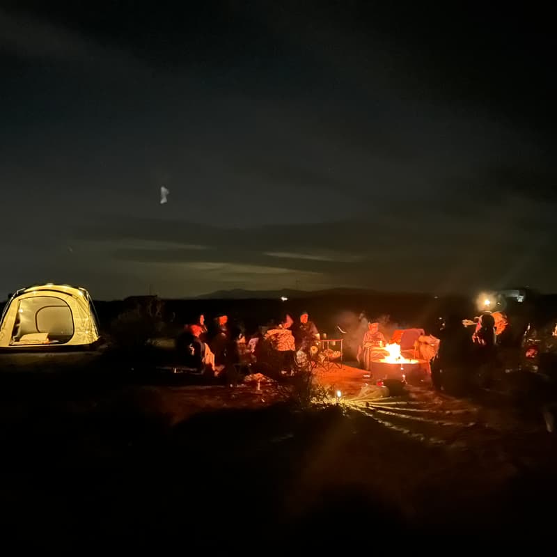 Cover Image for Perseid Meteor Shower Watch Party In Joshua Tree - California