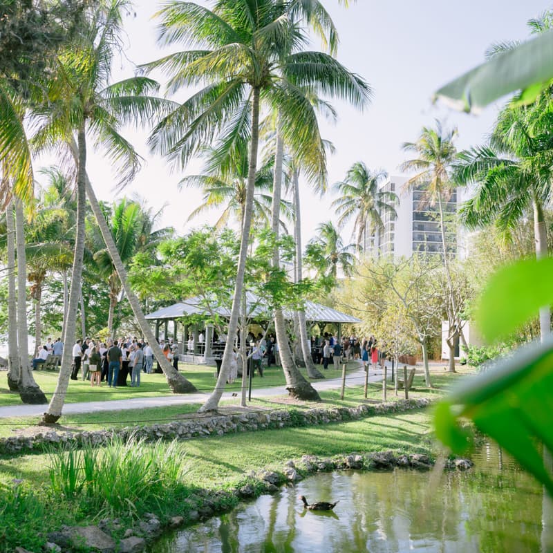 Cover Image for A Seat at the Table