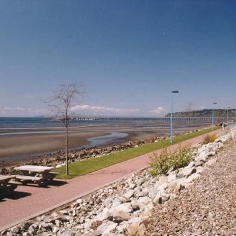 Cover Image for Cyber by Nature - Sept 24 Nature Walk – White Rock Boardwalk