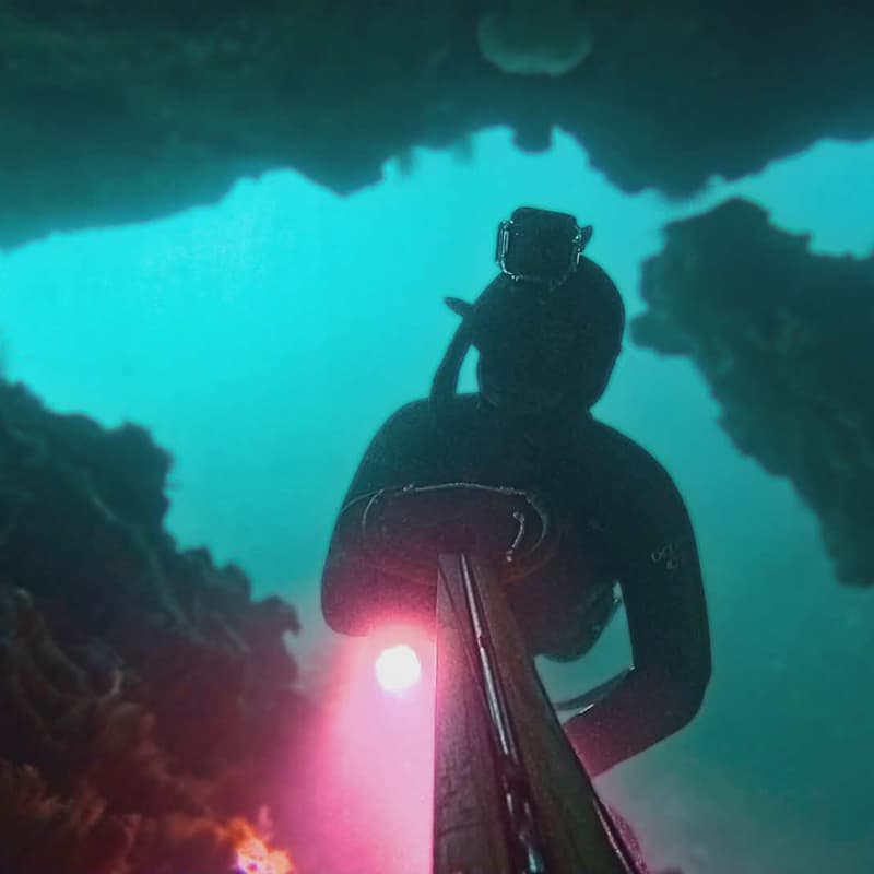 Cover Image for Snorkellers of BC monthly meet up - Snorkelling and freediving BC's shipwrecks.