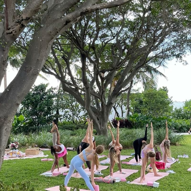 Cover Image for Wellness Day