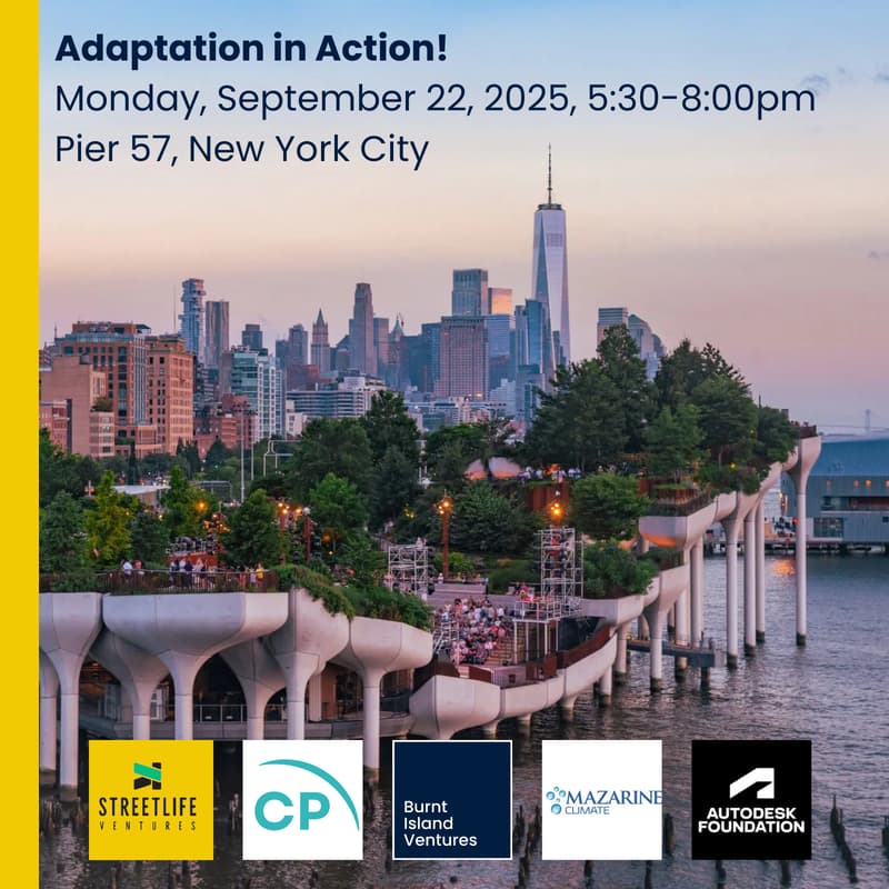 Cover Image for Adaptation in Action!