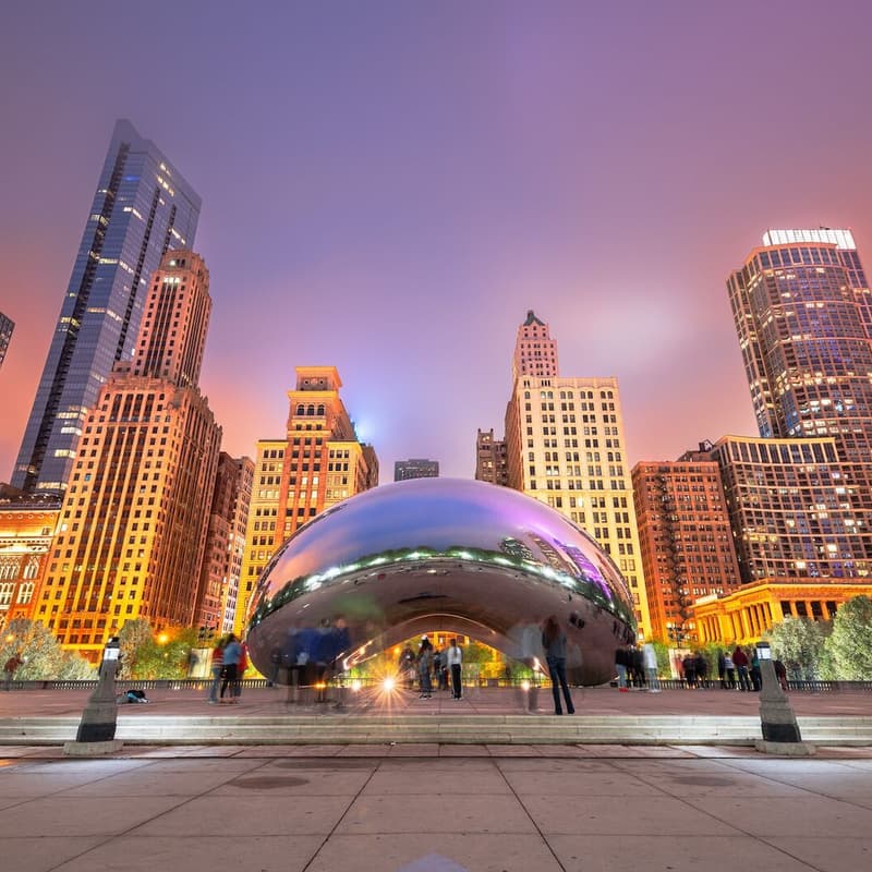 Cover Image for Chicago Idealist Day Meetup