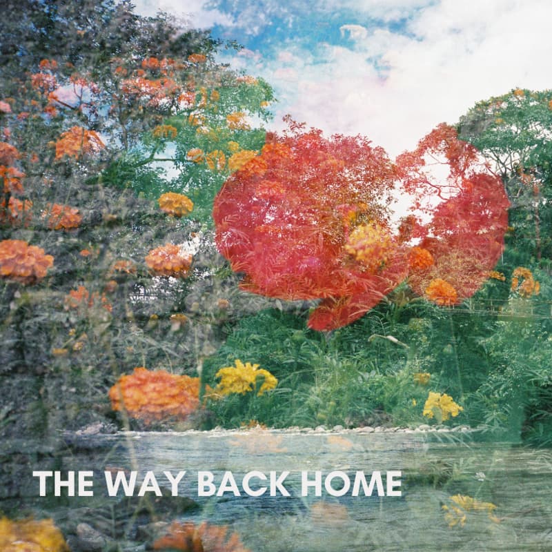 Cover Image for The Way Back Home: Psychedelic Integration Circle