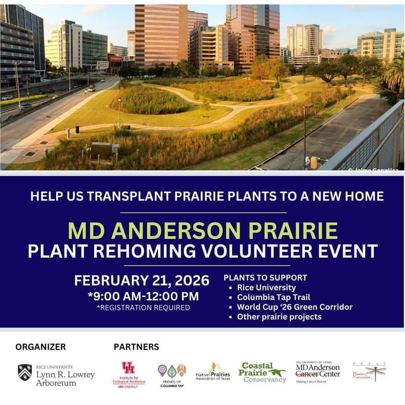 Cover Image for Prairie Plant Rehoming