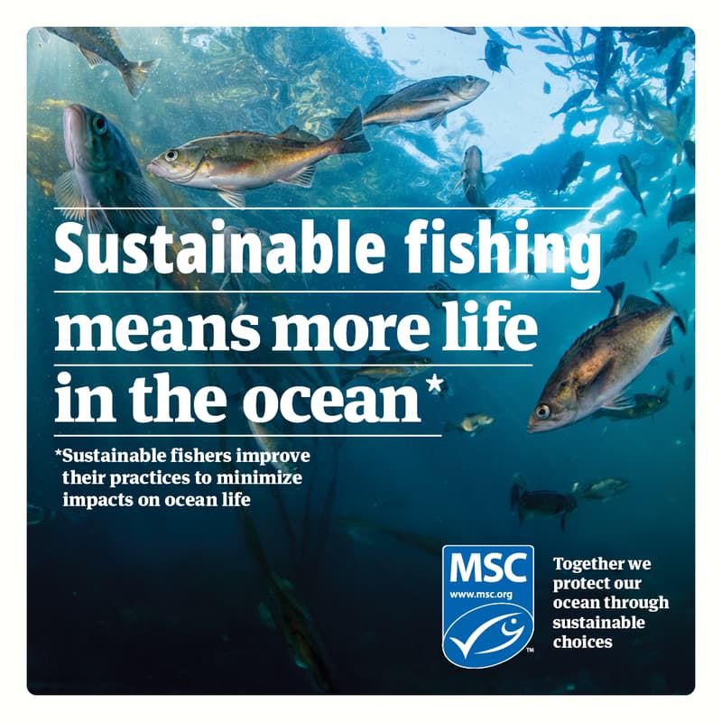 Cover Image for Marine Biodiversity & Sustainable Fishing: a Partnership in Resilience