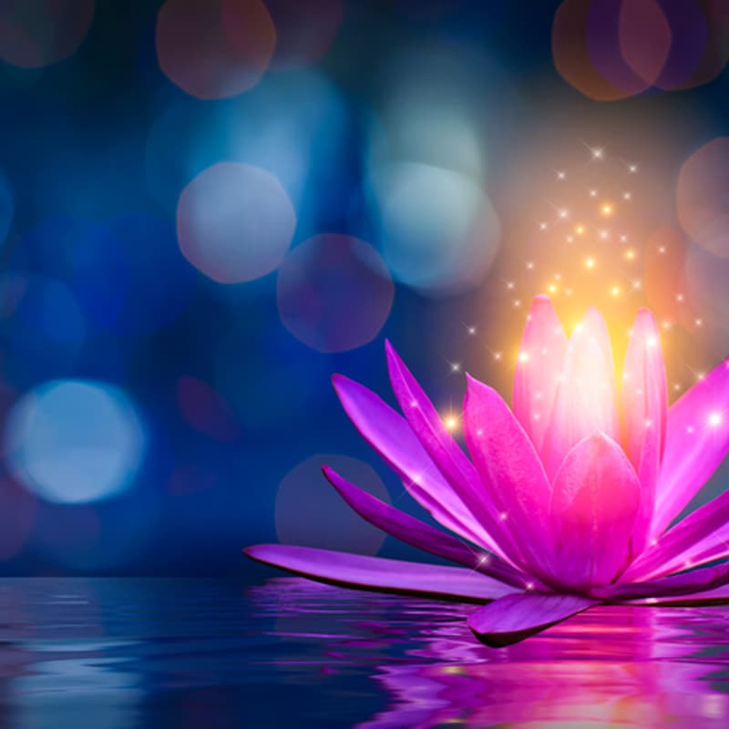 Cover Image for Meditation 101, Week 1 [public]
