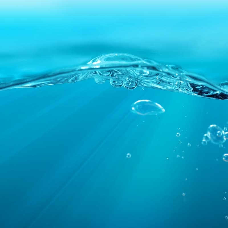 Cover Image for Making the Invisible Visible: From Ocean Expeditions to Actionable Solutions