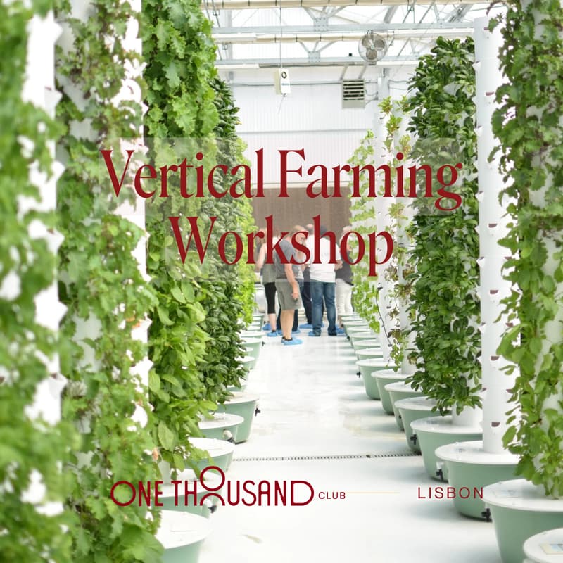 Cover Image for Introduction to Vertical Farming Workshop