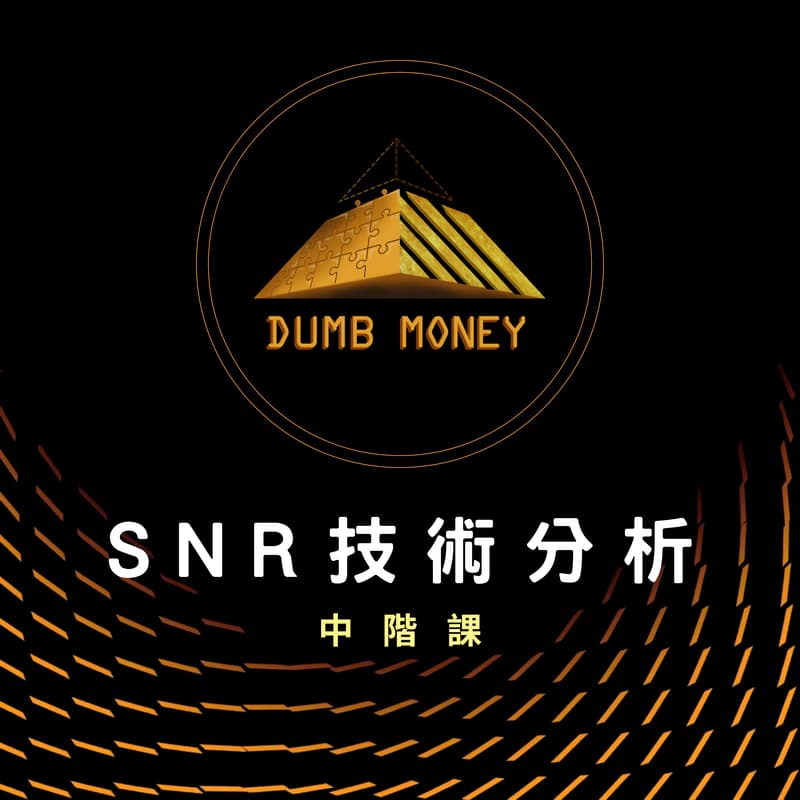 Cover Image for ＳＮＲ技術分析-中階研討會
