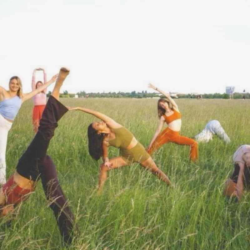 Cover Image for WELLNESS WORKSHOPS