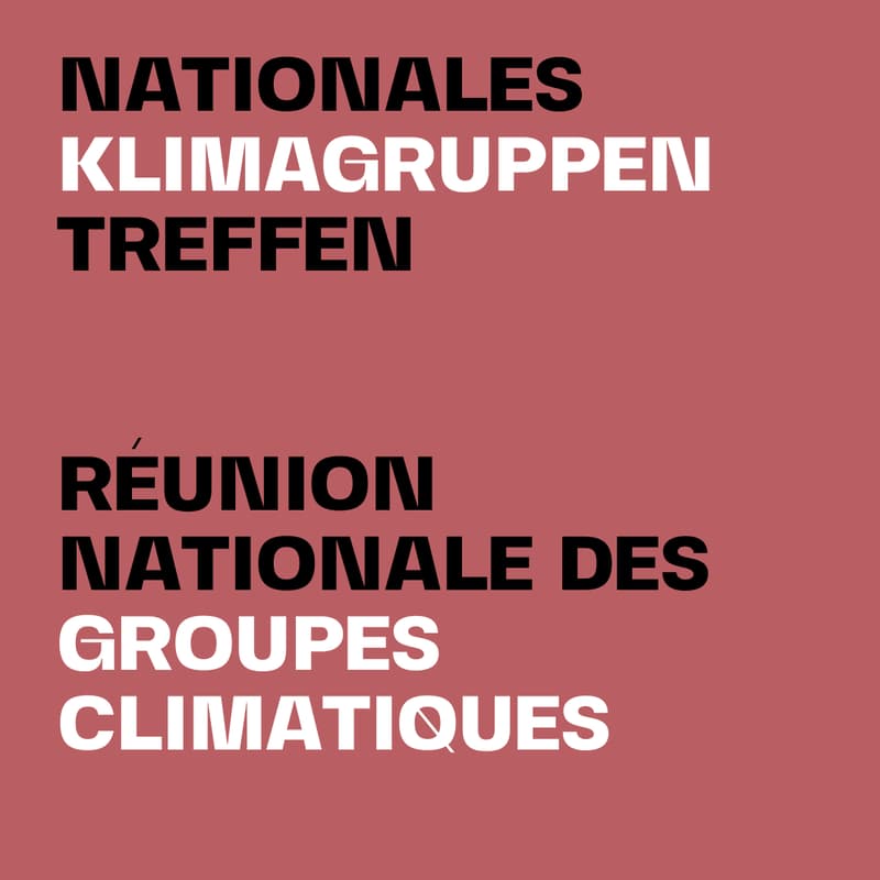 Cover Image for Treffen städtischer Klimagruppen // Réunion des groupes locaux pour le climat
