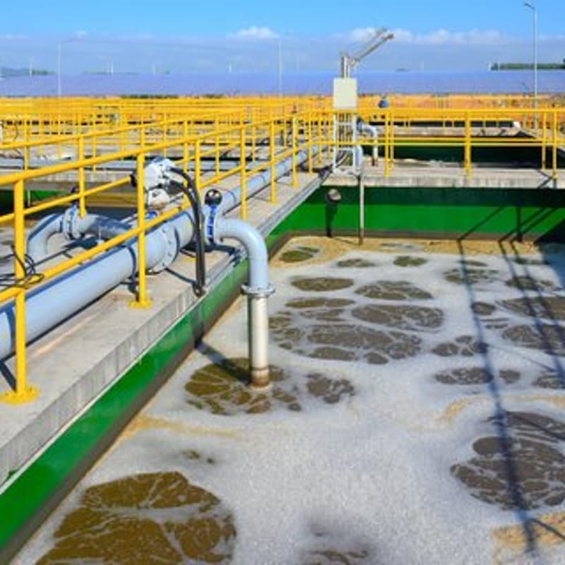 Cover Image for Stanford Sustainability Accelerator: Closing the Loop on Nitrogen Management - Project Showcase